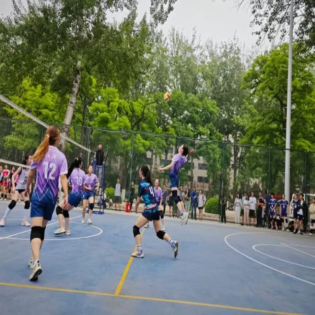 乒乓球冠军竞争格局的变化与数据新视角解读